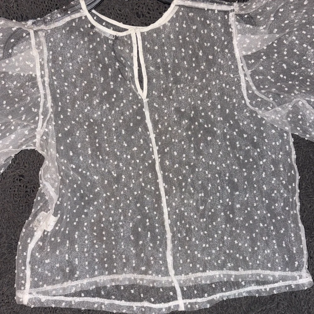 Zara Sheer Polka Dot Blouse